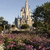 Magic Kingdom’s Central Plaza Area to be Expanded