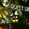 D23 to Host Tours of The Walt Disney Studios and Walt Disney Archives
