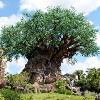 Animal Kingdom’s Party for the Planet to Include Food This Year