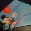 Annual Pass Monthly Payment Plan Introduced for Florida Residents