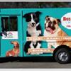 Best Friends Coming to Walt Disney World with Free Treats for Canines