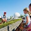 Cranberry Bog Installed at Walt Disney World for the Epcot International Food & Wine Festival