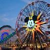 Suspect Arrested for Attack on Disney California Adventure Employees