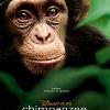 Disneynature’s ‘Chimpanzee’ Featurette Now Available
