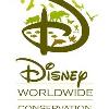 Disney Gives $100,000 Grant to Environmental Group