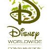 Disney Donates $250,000 for Disaster Relief for Pets