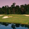 Arnold Palmer Golf Management to Take Over Walt Disney World Courses