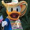 Woman Sues Over Alleged Donald Duck Groping