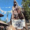 Disney’s Animal Kingdom: 3rd Annual “Expedition Everest Challenge”