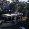 Couple Sues Disneyland for Negligence in Jungle Cruise Crash