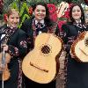 Mariachi Divas de Cindy Shea to Perform at Downtown Disney District February 5