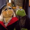 Muppets Get Star on Hollywood Walk of Fame