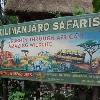 Walt Disney World: New Details About Animal Kingdom’s Personalized Kilimanjaro Treks