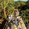 Disney’s Animal Kingdom Kicks Off ‘Wild Africa Trek’ Experience this Weekend