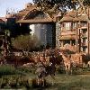 Former Disney Employee Arrested at Disney’s Animal Kingdom Lodge