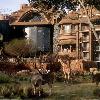 Animal Kingdom Lodge to Charge $30 Premium for Arusha Savanna Views