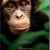 Disneynature Announces “See ‘Chimpanzee’, Save Chimpanzees” Initiative with Jane Goodall Institute