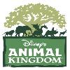 Speculation Grows That Australia Will Soon Come to Disney’s Animal Kingdom
