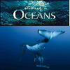 Help the World’s Coral Reefs, See Disneynature’s Newest Film ‘Oceans’