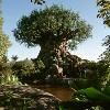 Disney’s Animal Kingdom Celebrating Spring with Frogs and Other Amphibians