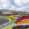 Early Spring 2015 at the Walt Disney World Resort Includes a Marathon, Half Marathon, and the Flower and Garden Festival