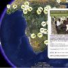 Disney Worldwide Conservation Fund Launches New Google Earth Site