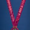New Race, Challenge, and Medal Announced for Princess Half Marathon Weekend