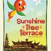 The Orange Bird Returns to Walt Disney World’s Adventureland