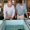 Disney Worldwide Conservation Fund Donates $100,000 to Efforts in the Gulf & Disney Animal Care Experts Rehabilitate Impacted Turtles
