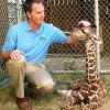 Disney’s Animal Kingdom Gets a New Baby Giraffe