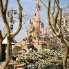 Disneyland Paris Becomes a True Winter Wonderland