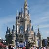 Walt Disney World Resort Bans Selfie Sticks at Theme Parks